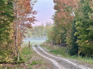 Siberia Crossing - 03