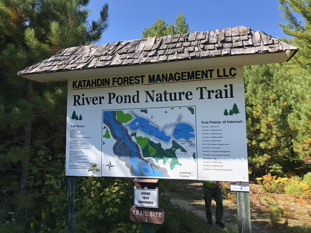 River Pond Nature Trail Millinocket, Maine (02)